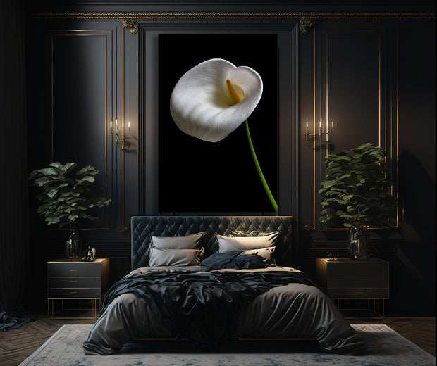 CALLA LILY: WHITE