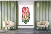 PROTEA FLOWER