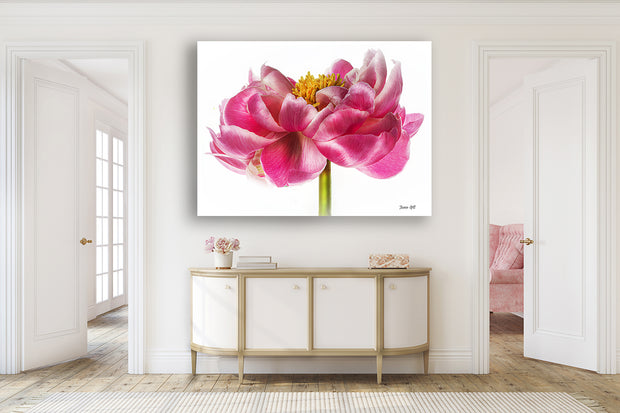 PINK PEONY