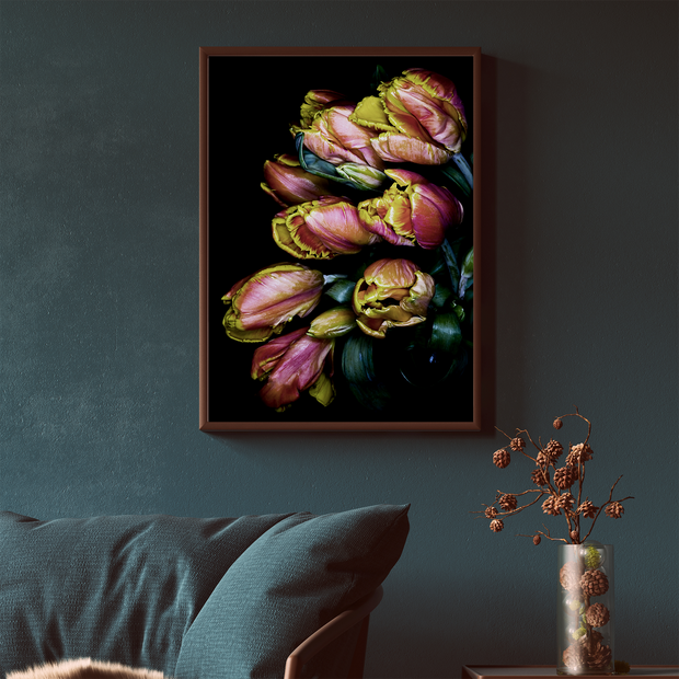 TULIPS: BLUSH